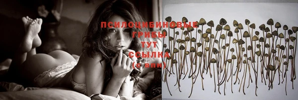 прущий лед Алексеевка