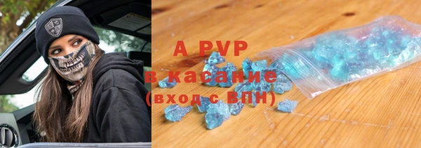стафф Алексин